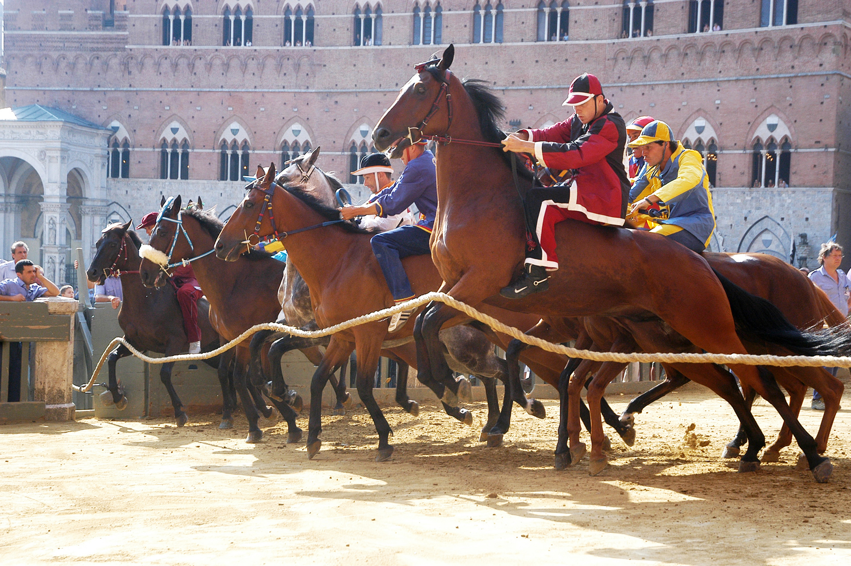 Palio - Gallery Image #251
